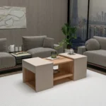 Ensemble Table Basse - Solution Salon Modulable 3-en-1